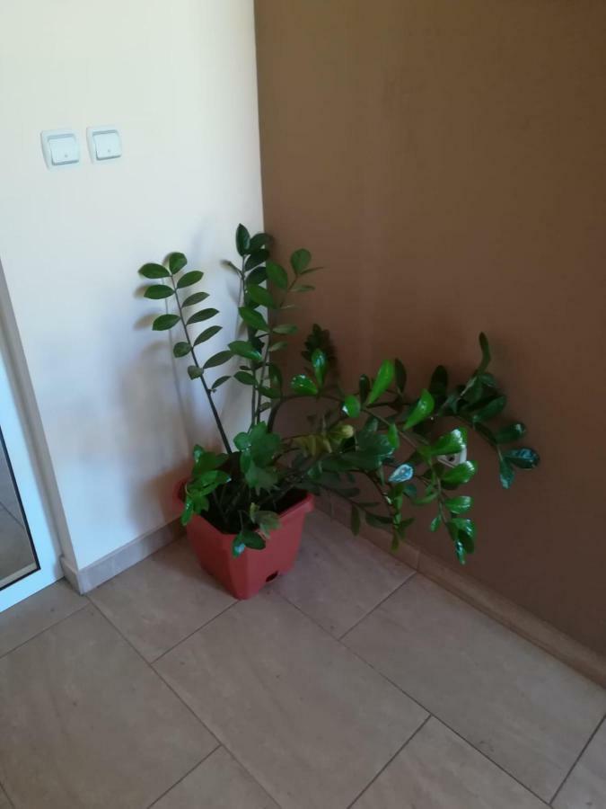 Laura Apartment Bibinje Bagian luar foto
