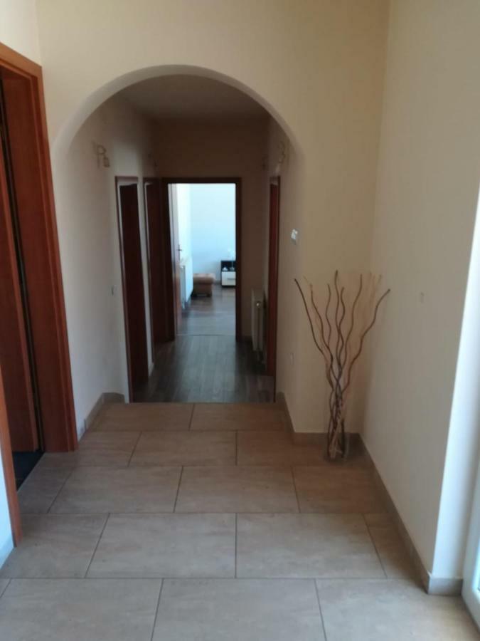 Laura Apartment Bibinje Bagian luar foto